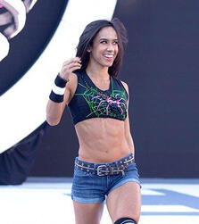 AJ Lee, my favorite wrestler of all time.